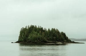 KBialous-HaidaGwaii-GFX14818reduce final 65% GAI VL jf23Walt