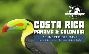 Costa Rica Tour 2024