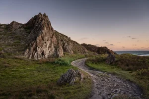 tarkine tasmania