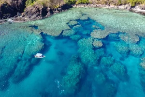 diving in the Philippines