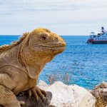 Galapagos, a trip of a lifetime